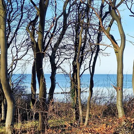 Lovely In Διαμέρισμα *